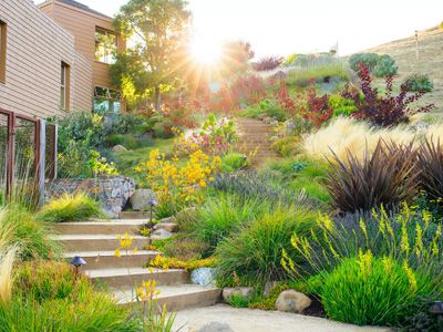Eco-Friendly Landscaping