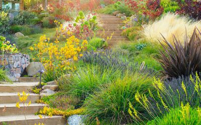 Eco-Friendly Landscaping, San Diego Eco-Friendly Landscaping
