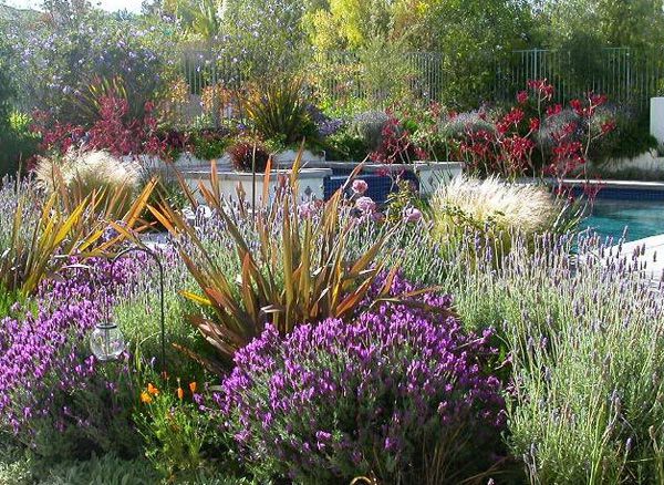 Fall Planting