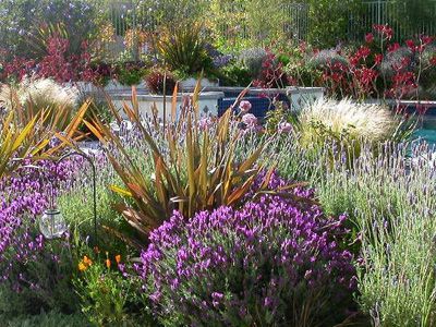 Fall Planting Guide, San Diego Fall Planting