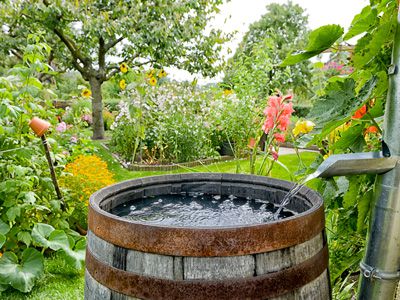 Rainwater Harvesting