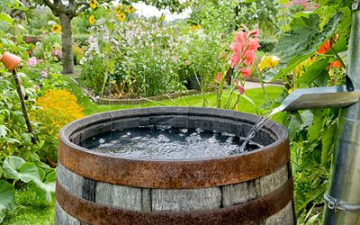 Rainwater Harvesting, San Diego Rainwater Harvesting