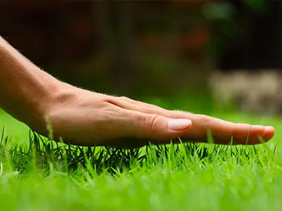 Artificial Grass, San Diego County, CA