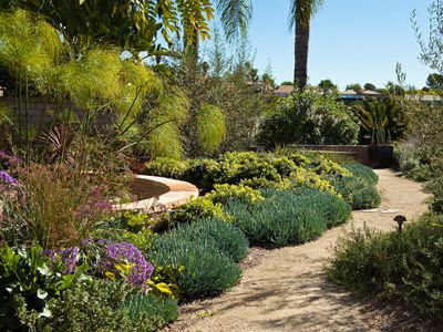 Drought-Tolerant Landscape 2026