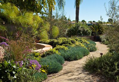 Drought-Tolerant Landscape 2026
