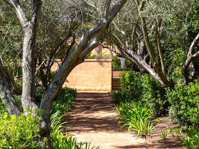 Tree Placement, 2026