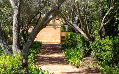 Tree Placement, 2026