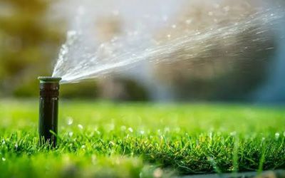 irrigation, 2026