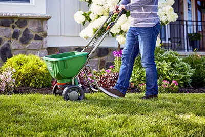 Get Your Yard Spring Ready 