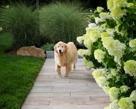 Landscaping Services in Vista, CA Landscaping Services in Vista, CA