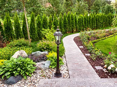 Landscaping, North County San Diego, CA