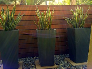 Landscaping, Carlsbad, CA