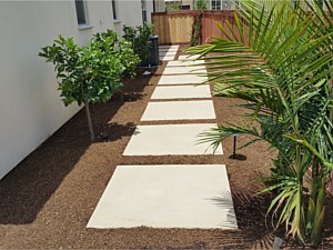 Landscaping, San Marcos, CA