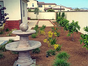 Landscaping, Encinitas, CA
