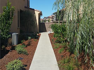 Landscaping, Rancho Bernardo, CA