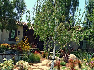 Dry Creek, Carlsbad, CA
