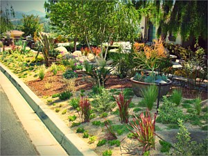 Landscaping, Cardiff by the Sea, CA