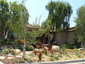 Landscaping, Solana Beach, CA