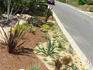 Landscaping, Carmel Valley, CA