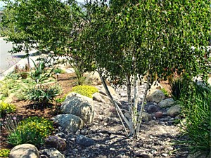 Dry Creek, Escondido, CA