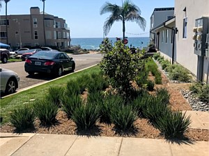 Commercial Hardscaping