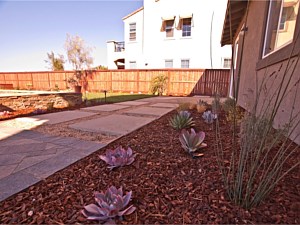 Landscape Services, Escondido, CA