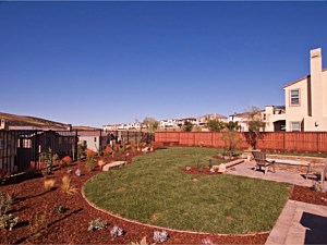 Landscape Services, Oceanside, CA