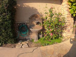 Image 5 (Before)